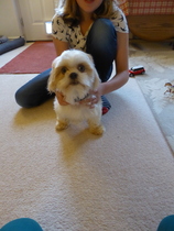 The Friendly Frugaleers Keep on Chatting (and having babies!)