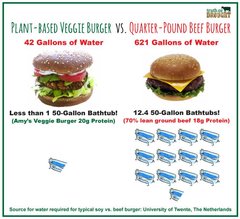 To say that vegans can't really like food?