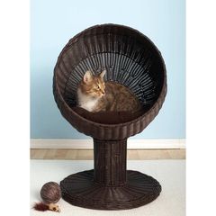 Cat bed...