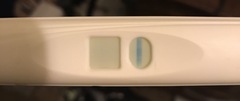 2dpo, 2ww, anyone else in their 2ww?!