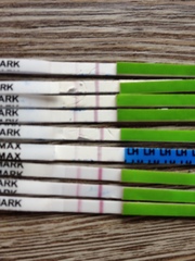 1st ovulation test advice!!