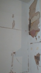 How much to fix and plaster this? Pictures included