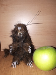 About the rat?