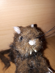 About the rat?