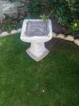 Could I plant anything in this bird bath?