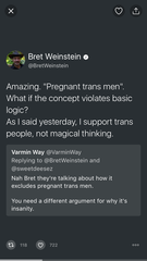 UK submission to  UN - "whatabout the pregnant men?"