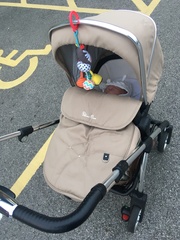 October 2017: Babies are here!