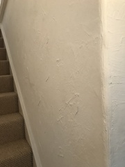 Artex Nightmare