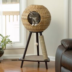 Cat bed...
