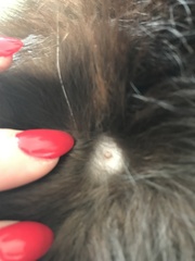 What the Jeff is THIS on Colin's skin?