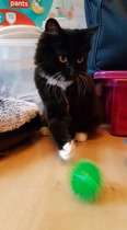 Our new boy - photos included
