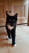 Our new boy - photos included