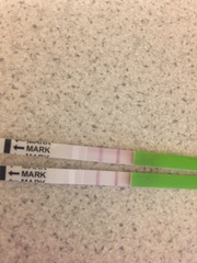 Positive opk?