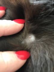 What the Jeff is THIS on Colin's skin?