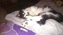 Toe beans!