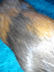 Today we have a Moll shaped hole in our 💔