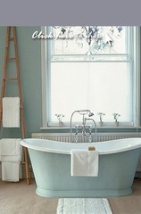 Blinds in bathroom-what kind (no one needs to see DH's willy)