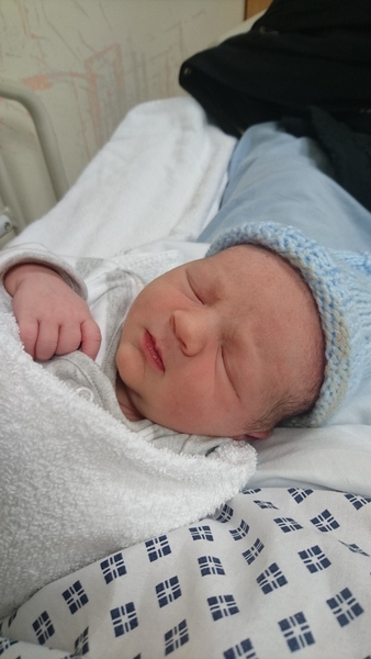 November 2017 #4: Bump botherers, nesting and maternity leave!