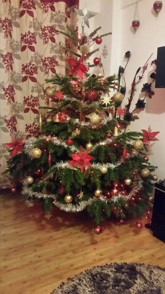 Share how you are planning to decorate your house this Christmas with Homebase - chance to win £300 voucher! NOW CLOSED
