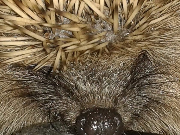 Remember remember it's frugal November