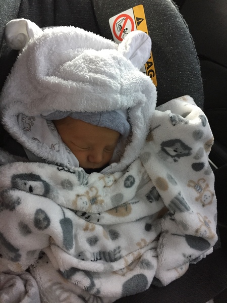 November 2017 #4: Bump botherers, nesting and maternity leave!