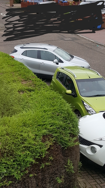 Neighbours bullying us (parking)