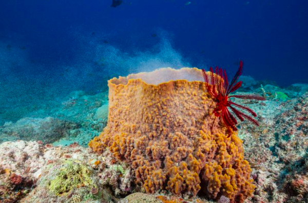 Week 7 - Low Carb Bootcamp - Still with us?!