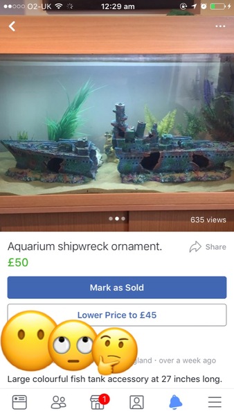 What am I selling on Facebay?