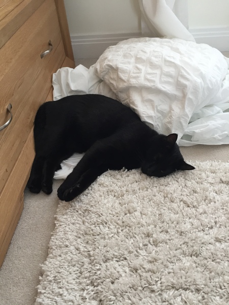 Who are you sharing your bed with?