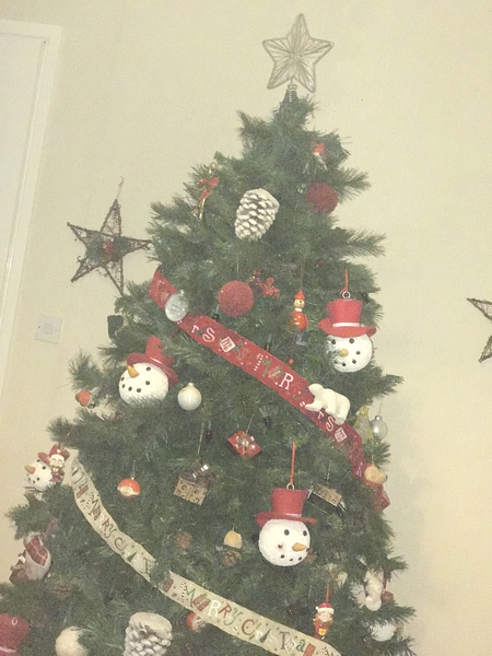 To buy a £300 Christmas tree?