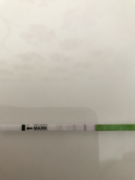Negative Ovulation