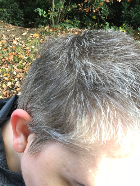 Head shave to go grey