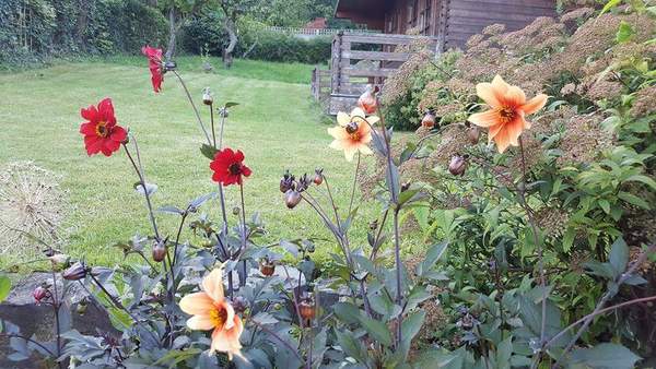The first rule of potting shed is YOU ALWAYS talk about potting shed. The thread continues.