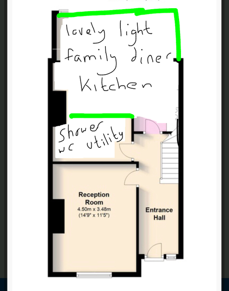 Utility and downstairs shower room possible in terrace house?