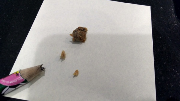 ****Klaxon**** DH's Earwax.  With Pics!