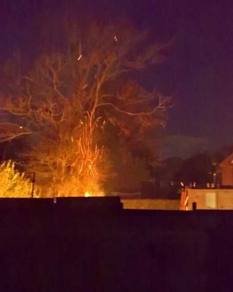 My neighbour has built a bonfire in the garden