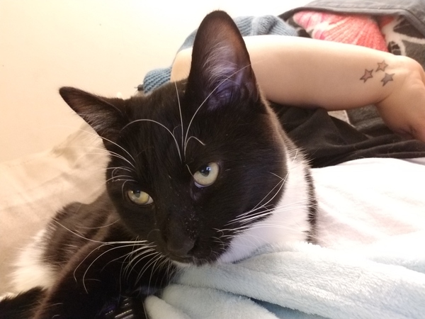 Why are you awake?