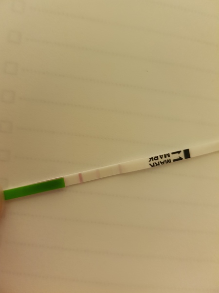 Am I pregnant...seems to early for a possitive test though.