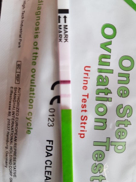 Ovulation test as pregnancy test?