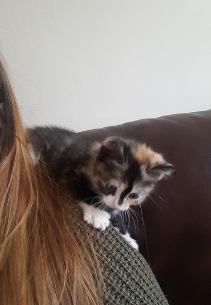 Witness the cuteness
