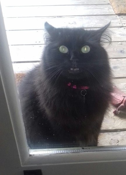 Need some love for my beautiful girl.