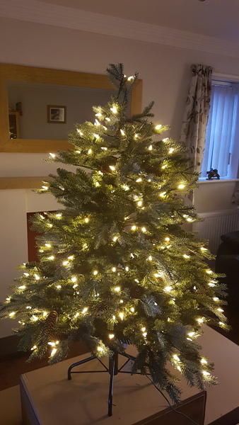 To buy a £300 Christmas tree?