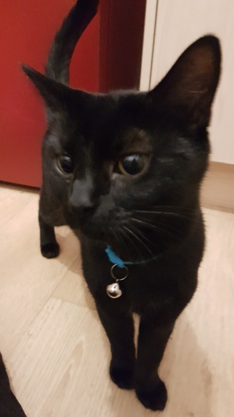 Need some love for my beautiful girl.