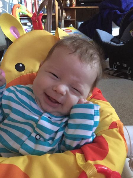 To clap my hands and skip about in a elephantine manner?