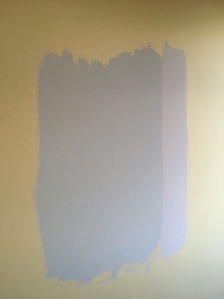 Paint needs to be ordered today and I can’t decide!