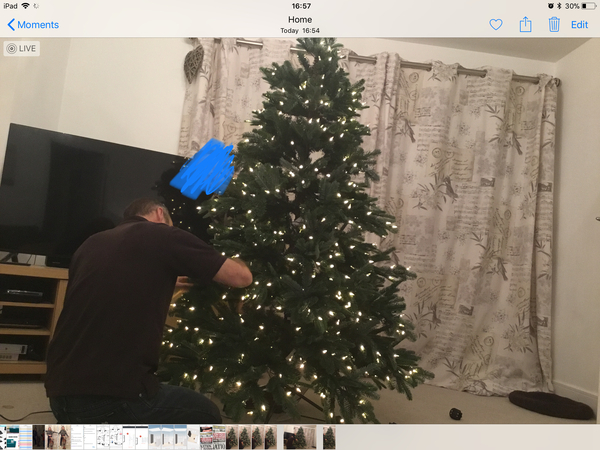 To buy a £300 Christmas tree?