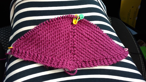 Beginner Knitter- What after scarves?