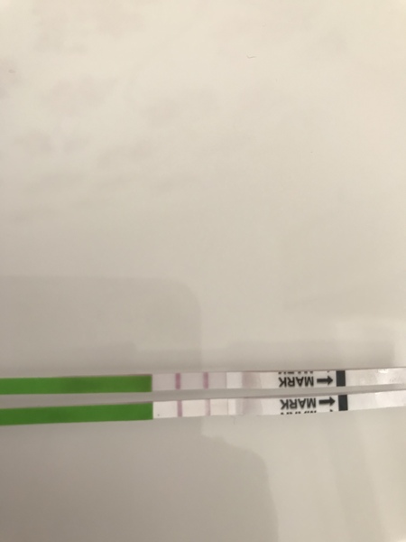 Negative Ovulation