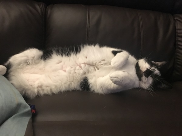 Feeling fragile and wondering if I’m doing the right thing