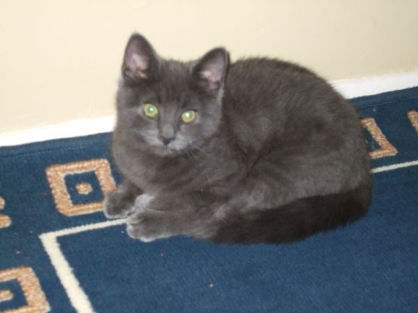 Teddy's 2 years old